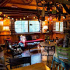 Meet your Posher, Gracie